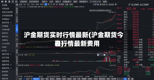 沪金期货实时行情最新(沪金期货今日行情最新费用
表)-第2张图片
