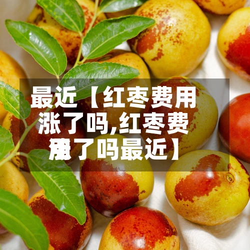 最近【红枣费用涨了吗,红枣费用涨了吗最近】-第2张图片