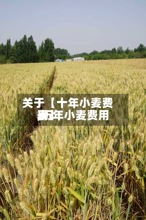 关于【十年小麦费用,历年小麦费用表】-第2张图片