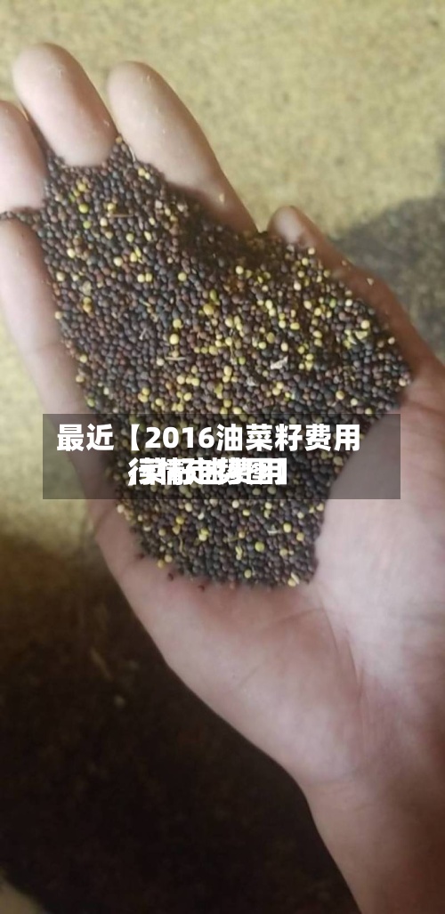 最近【2016油菜籽费用,菜籽油费用行情走势图】