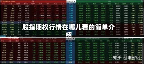 股指期权行情在哪儿看的简单介绍