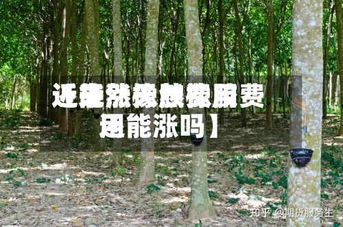 近来【天然橡胶费用还能涨天然橡胶费用还能涨吗】-第3张图片