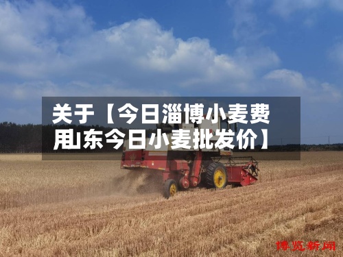关于【今日淄博小麦费用,山东今日小麦批发价】