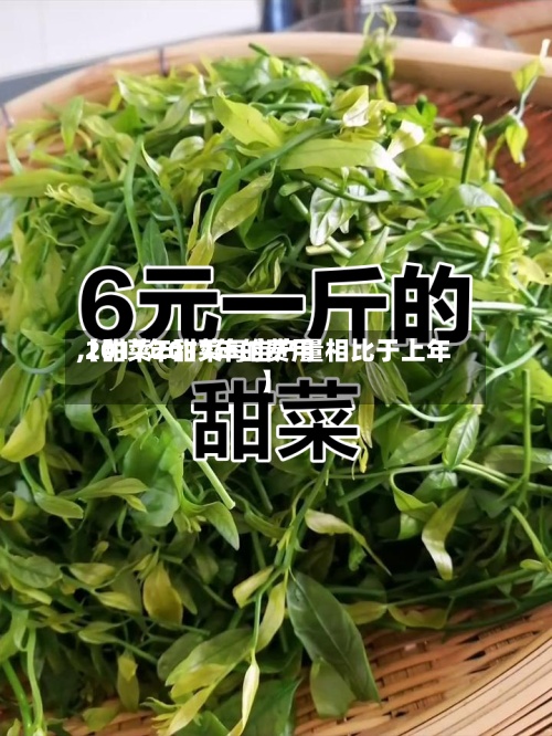 【甜菜2017年的费用,2017年甜菜每亩产量相比于上年】