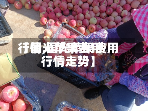 【国光苹果费用行情,国光苹果费用行情走势】