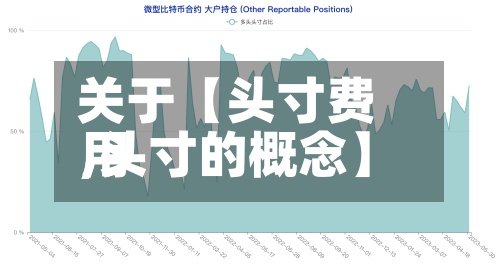 关于【头寸费用
,头寸的概念】-第2张图片