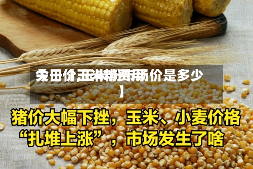 关于【玉米粉费用今日价,玉米粉市场价是多少】