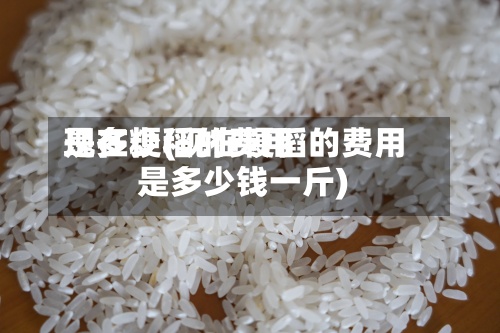 现在粳稻的费用是多少(现在粳稻的费用是多少钱一斤)-第2张图片