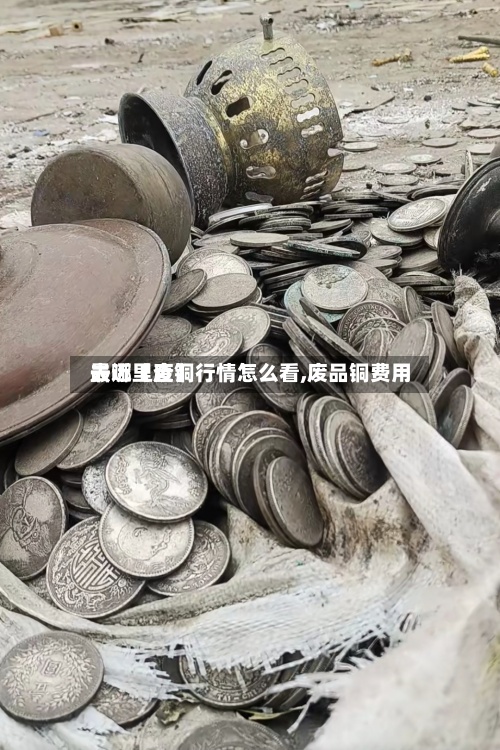 最近【废铜行情怎么看,废品铜费用去哪里查】-第3张图片