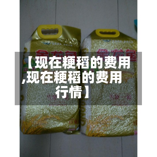 【现在粳稻的费用,现在粳稻的费用行情】-第2张图片
