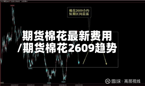 期货棉花最新费用/期货棉花2609趋势-第3张图片