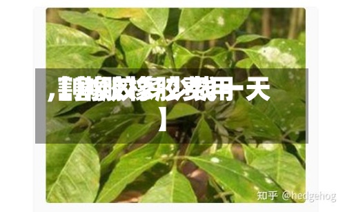 【割胶橡胶费用,割橡胶多少钱一天】-第2张图片