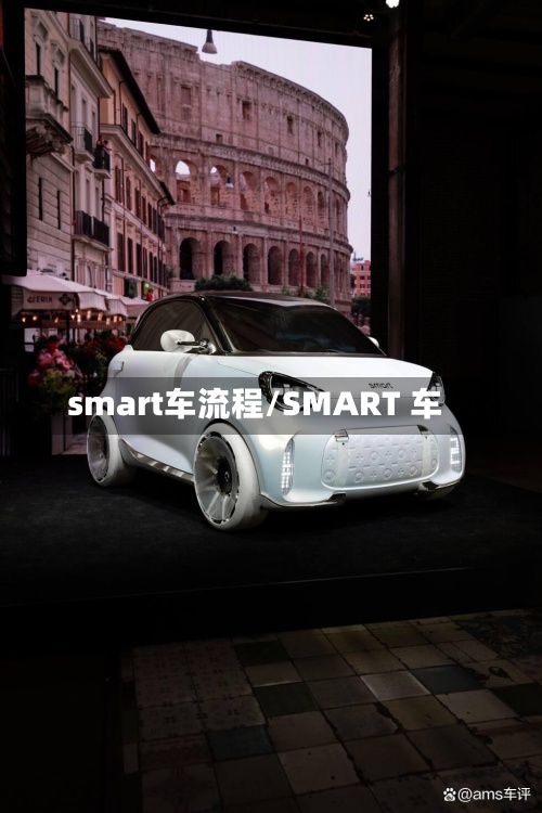 smart车流程/SMART 车