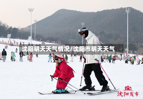 沈阳明天天气情况/沈阳市明天天气-第3张图片