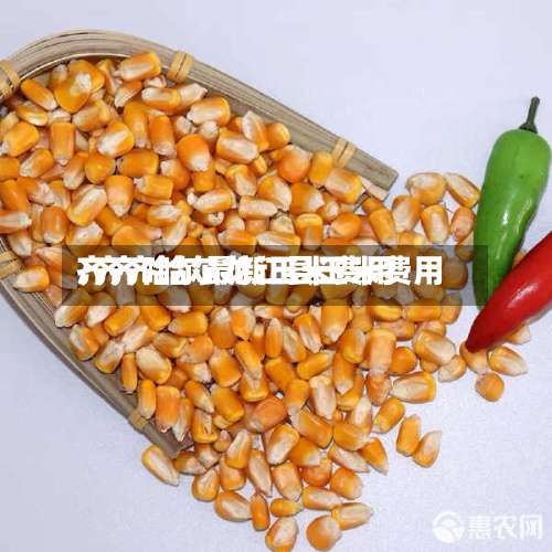 齐齐哈尔最新玉米费用/齐齐哈尔龙江县玉米费用-第2张图片