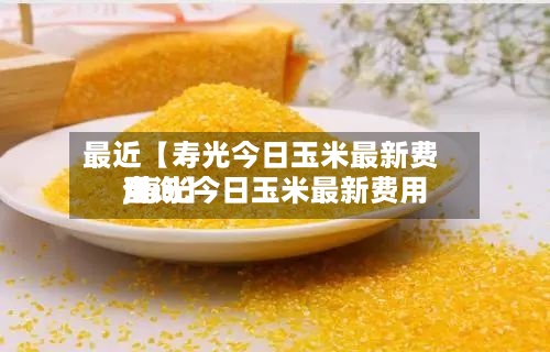 最近【寿光今日玉米最新费用,寿光今日玉米最新费用查询】