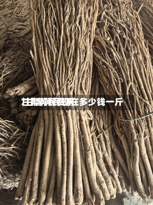 甘肃黄芪费用/甘肃黄芪现在多少钱一斤-第2张图片