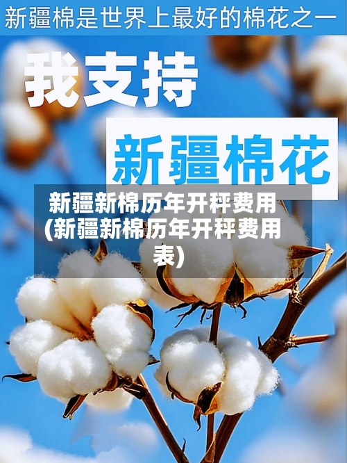 新疆新棉历年开秤费用(新疆新棉历年开秤费用表)-第2张图片