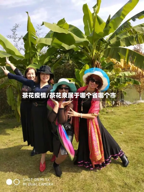茶花疫情/茶花泉属于哪个省哪个市