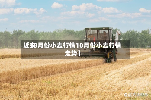 近来【10月份小麦行情10月份小麦行情走势】
