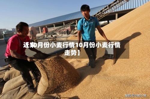 近来【10月份小麦行情10月份小麦行情走势】-第2张图片