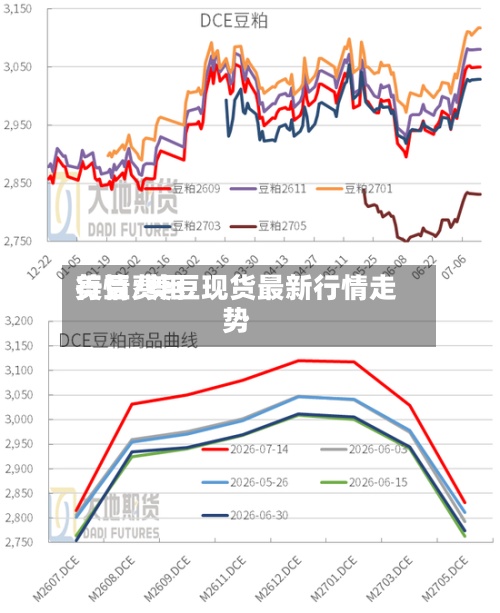 美豆费用行情/美豆现货最新行情走势