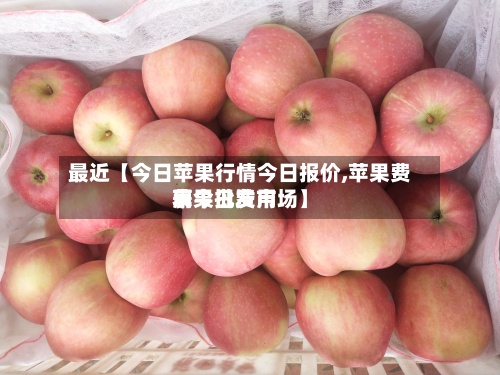 最近【今日苹果行情今日报价,苹果费用表今日费用苹果批发市场】-第3张图片