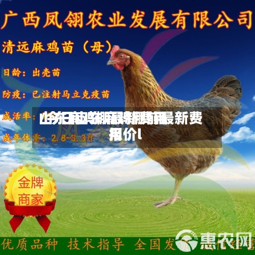 山东麻鸡棚最新费用/今日山东麻鸡棚前最新费用报价l-第2张图片
