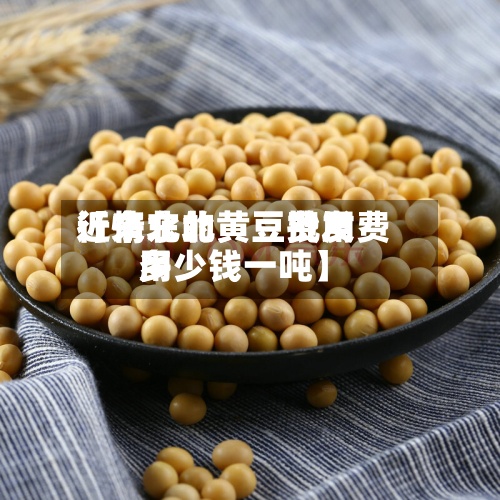 近来【东北的黄豆费用行情东北黄豆批发费用多少钱一吨】-第3张图片