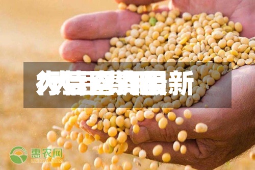 大豆网费用/大豆费用行情查询最新-第2张图片