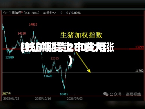 铁矿期货上市费用(铁矿期货2609大涨)-第2张图片