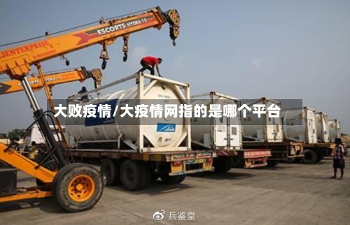 大败疫情/大疫情网指的是哪个平台-第2张图片