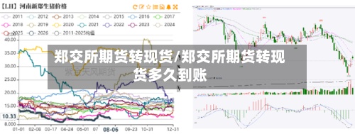 郑交所期货转现货/郑交所期货转现货多久到账-第2张图片