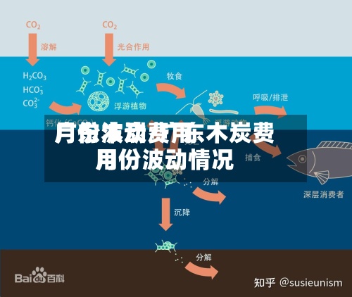 广东木炭费用月份波动/广东木炭费用月份波动情况-第2张图片