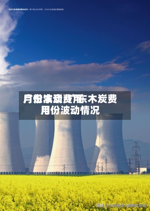 广东木炭费用月份波动/广东木炭费用月份波动情况