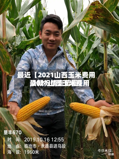 最近【2021山西玉米费用,2021山西玉米费用最新行情走势图】
