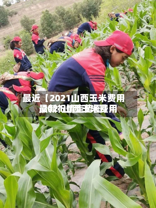 最近【2021山西玉米费用,2021山西玉米费用最新行情走势图】-第2张图片