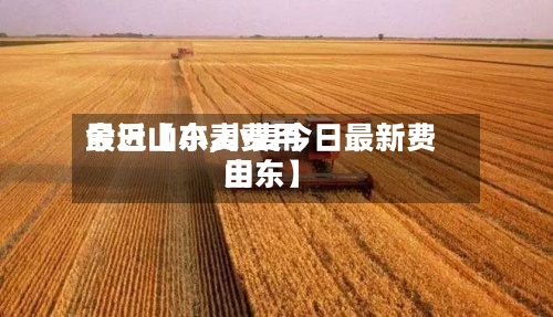 最近【小麦费用今日山东,小麦今日最新费用山东】-第2张图片