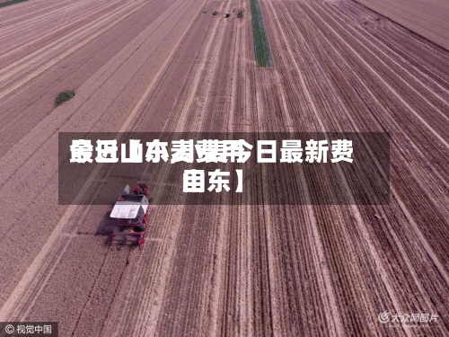 最近【小麦费用今日山东,小麦今日最新费用山东】