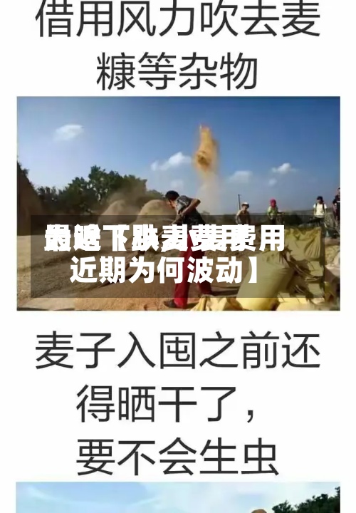 最近【小麦费用为啥下跌,小麦费用近期为何波动】-第2张图片