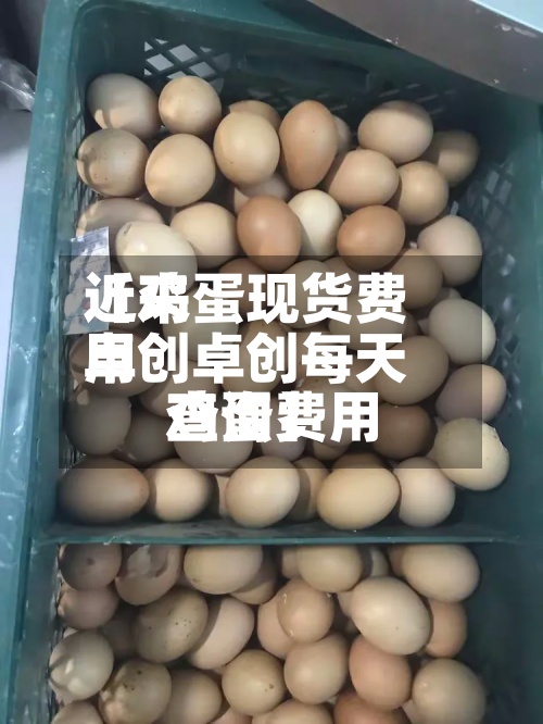 近来【鸡蛋现货费用卓创卓创每天鸡蛋费用查询】-第3张图片