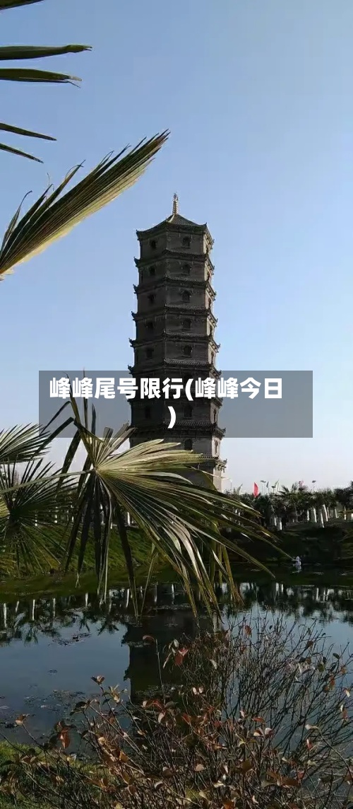 峰峰尾号限行(峰峰今日)
