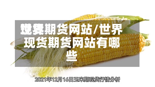 世界现货期货网站/世界现货期货网站有哪些-第3张图片