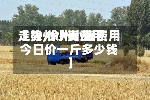 【徐州小麦费用走势,徐州小麦费用今日价一斤多少钱】-第2张图片