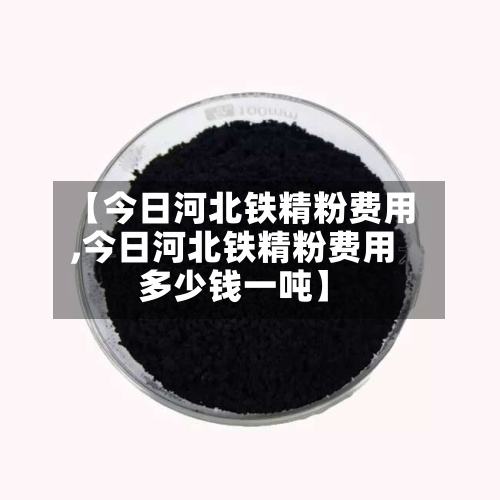 【今日河北铁精粉费用,今日河北铁精粉费用多少钱一吨】-第2张图片