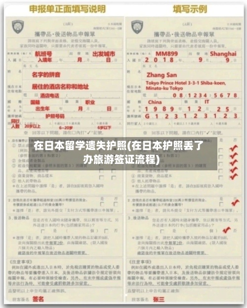 在日本留学遗失护照(在日本护照丢了办旅游签证流程)