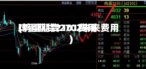 鸡蛋期货2101费用(鸡蛋期货2702未来费用)
