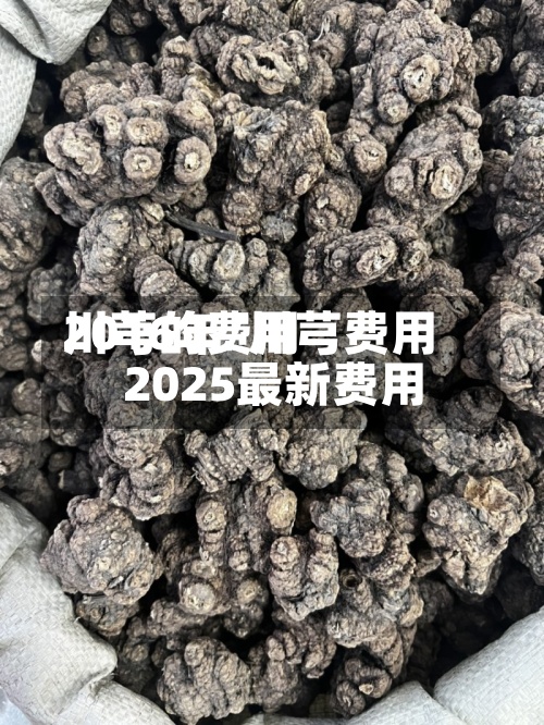 川芎的费用2016年/川芎费用2025最新费用-第2张图片