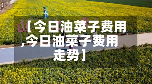 【今日油菜子费用,今日油菜子费用走势】-第3张图片