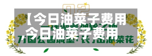 【今日油菜子费用,今日油菜子费用走势】